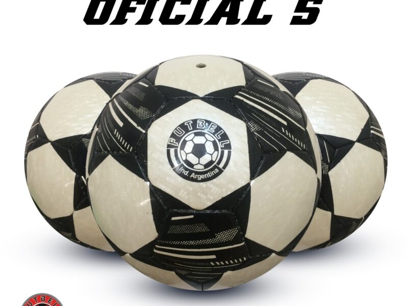 CHAMPIONS champions (1)