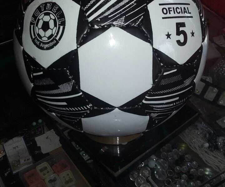 CHAMPIONS champions (2)