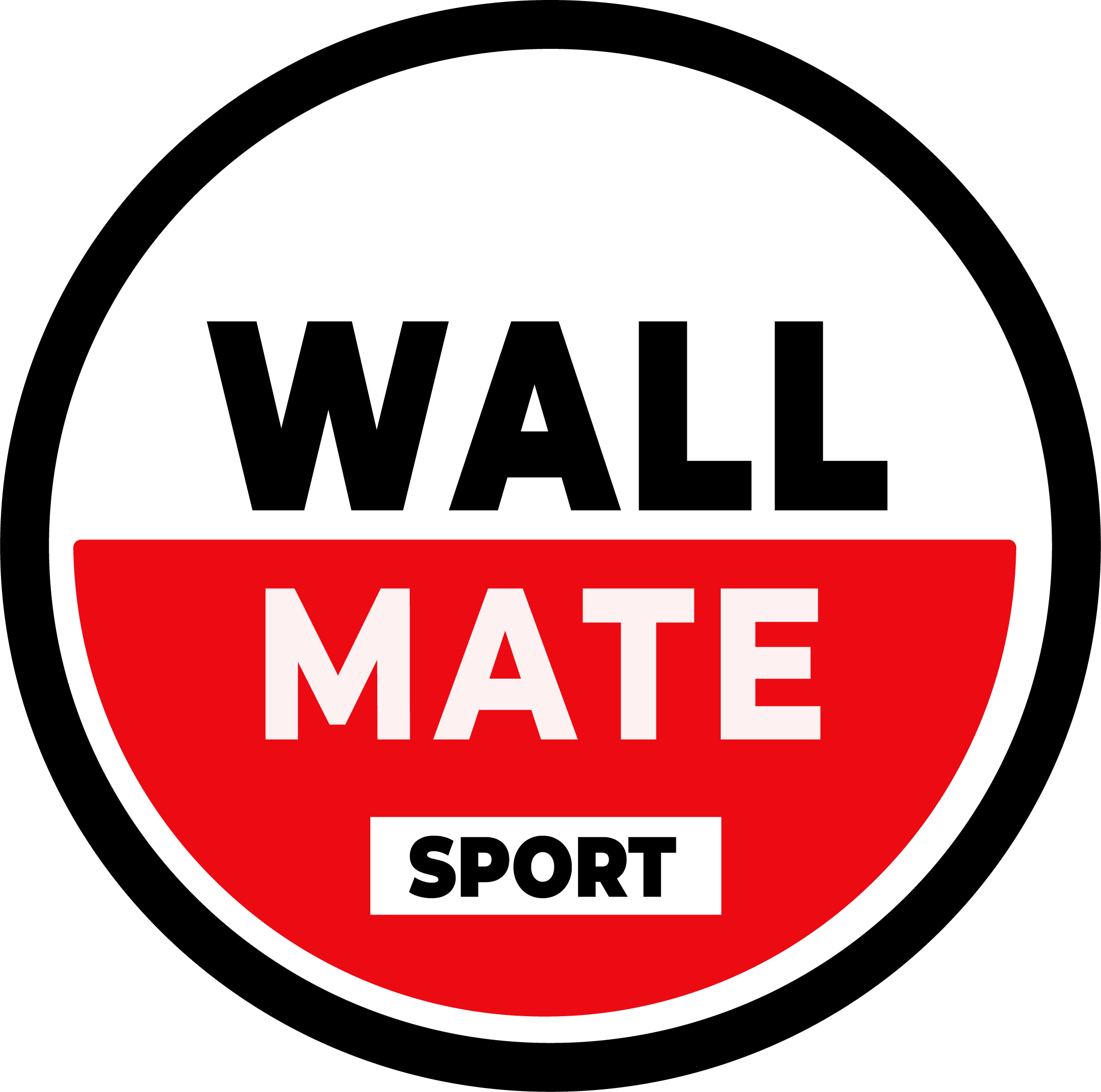 logo wallmate 2024