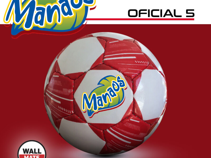 INICIO productos 2020